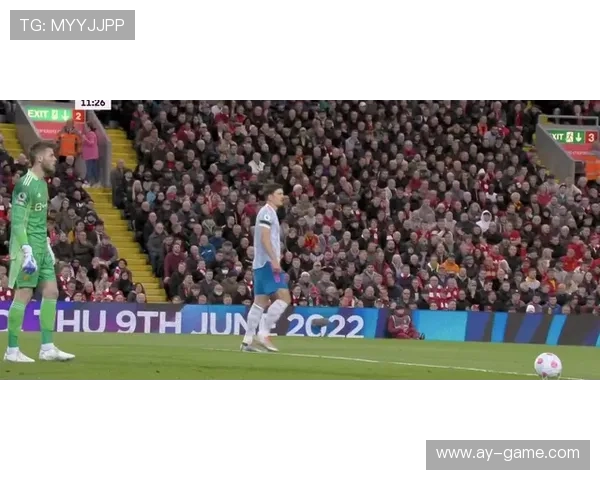 法马控球技术惊艳全场 引发媒体广泛关注